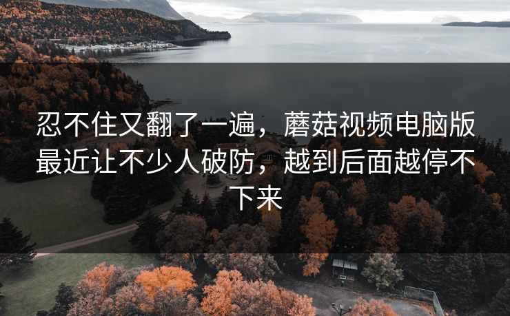 忍不住又翻了一遍,蘑菇视频电脑版最近让不少人破防,越到后面越停不下来 忍不住又翻了一遍,蘑菇视频电脑版最近让不少人破防,越到后面越停不下来