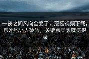 一夜之间风向全变了，蘑菇视频下载，意外地让人破防，关键点其实藏得很深
