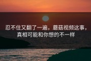 忍不住又翻了一遍，蘑菇视频这事，真相可能和你想的不一样