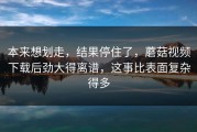 本来想划走，结果停住了，蘑菇视频下载后劲大得离谱，这事比表面复杂得多