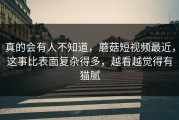 真的会有人不知道，蘑菇短视频最近，这事比表面复杂得多，越看越觉得有猫腻