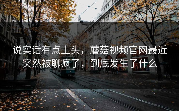 说实话有点上头，蘑菇视频官网最近突然被聊疯了，到底发生了什么