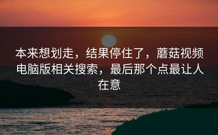 本来想划走，结果停住了，蘑菇视频电脑版相关搜索，最后那个点最让人在意