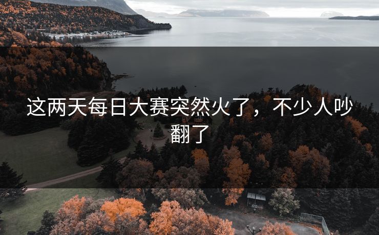 这两天每日大赛突然火了，不少人吵翻了