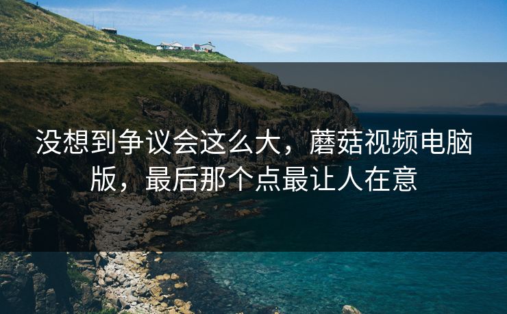 没想到争议会这么大，蘑菇视频电脑版，最后那个点最让人在意