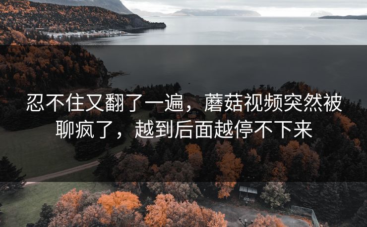 忍不住又翻了一遍,蘑菇视频突然被聊疯了,越到后面越停不下来 忍不住又翻了一遍,蘑菇视频突然被聊疯了,越到后面越停不下来