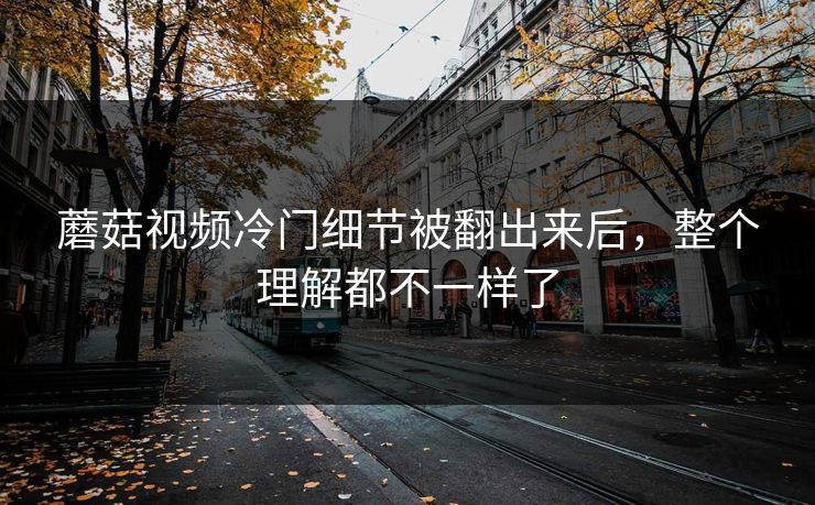蘑菇视频冷门细节被翻出来后，整个理解都不一样了