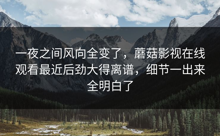 一夜之间风向全变了,蘑菇影视在线观看最近后劲大得离谱,细节一出来全明白了 一夜之间风向全变了,蘑菇影视在线观看最近后劲大得离谱,细节一出来全明白了